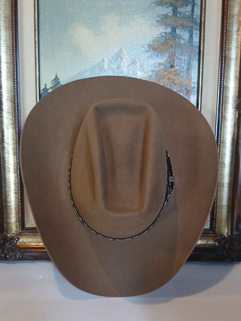 Stetson Tan Felt Western Cowboy Hat with Braided Band